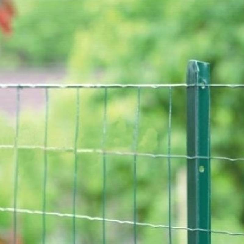 a chain link fence