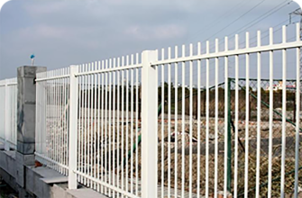 60cm chicken wire