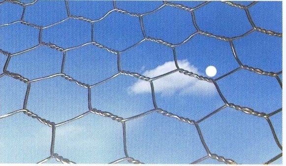 ideas for temporary fence