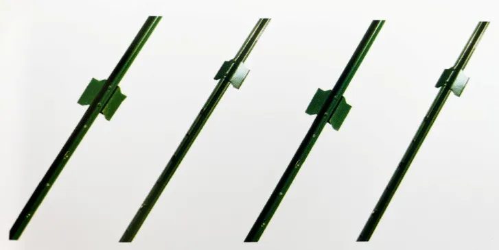 aloe vera plant support