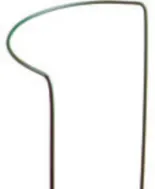pole bean trelis